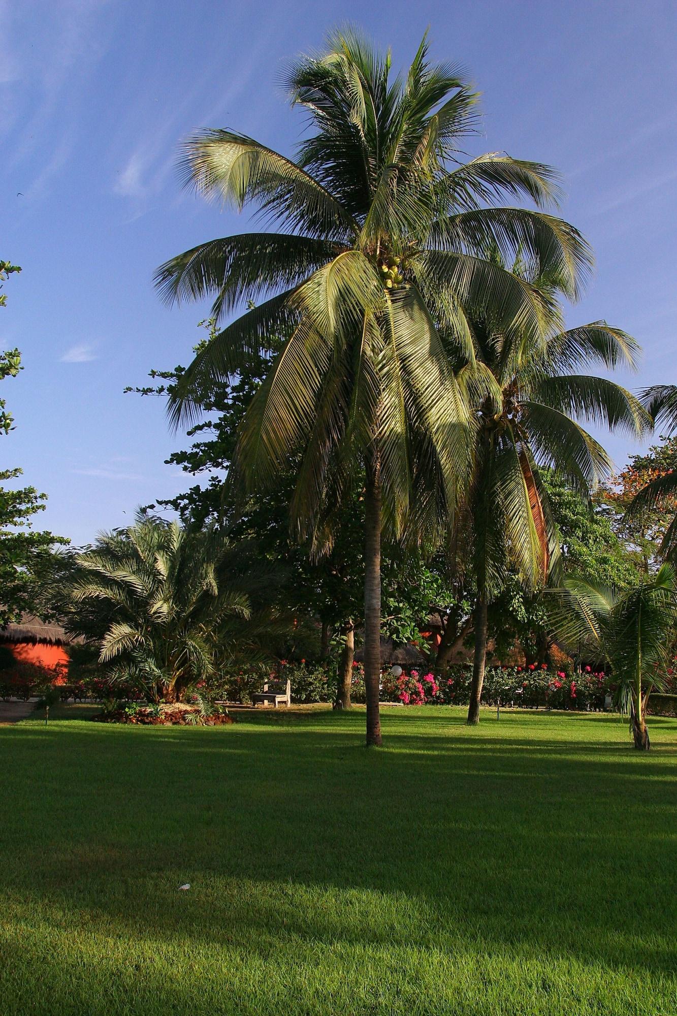 Hotel Royam Saly Exterior foto